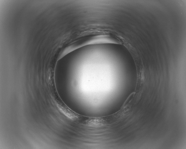 X0000081620567200701151434