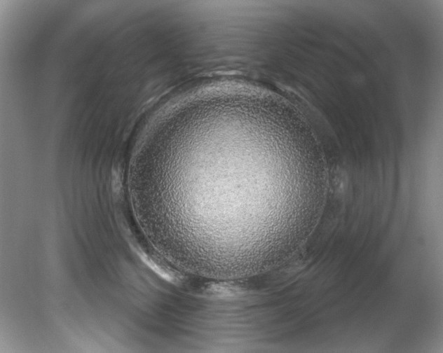 X0000081620568200701151434