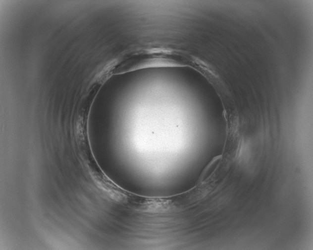 X0000081620571200701151434