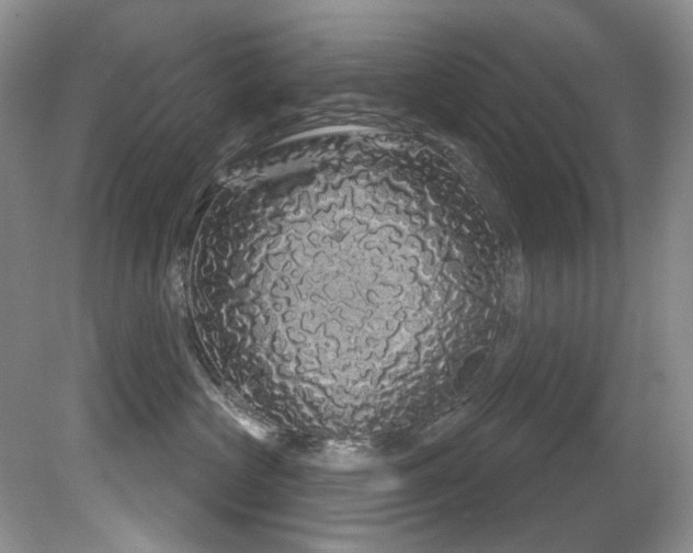 X0000081620573200701151434