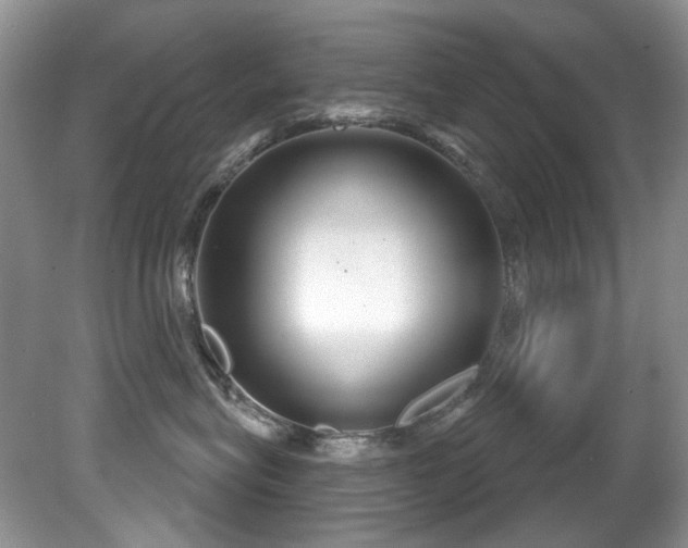 X0000081620575200701151435