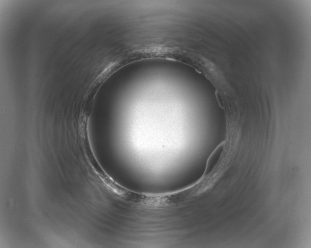 X0000081620576200701151435