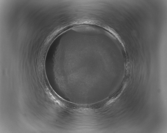 X0000081620577200701151434