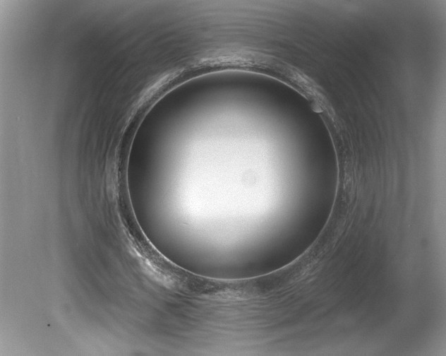 X0000081620578200701151434