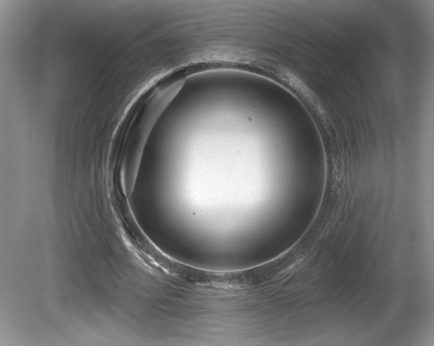 X0000081620580200701151434