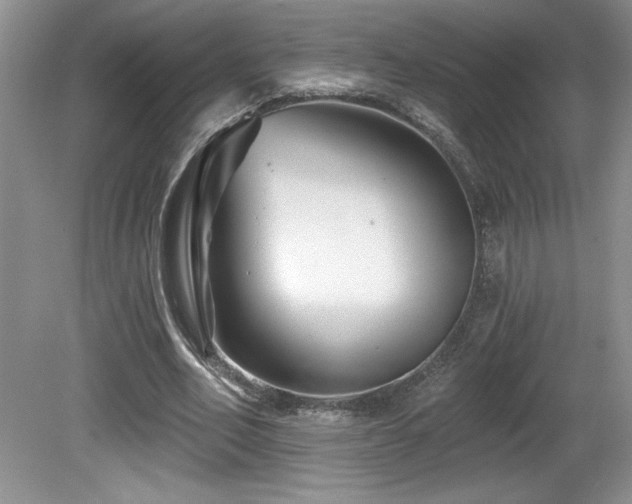 X0000081620582200701151434