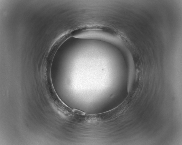 X0000081620587200701151434