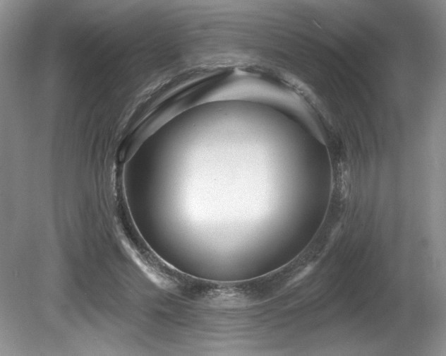 X0000081620589200701151433