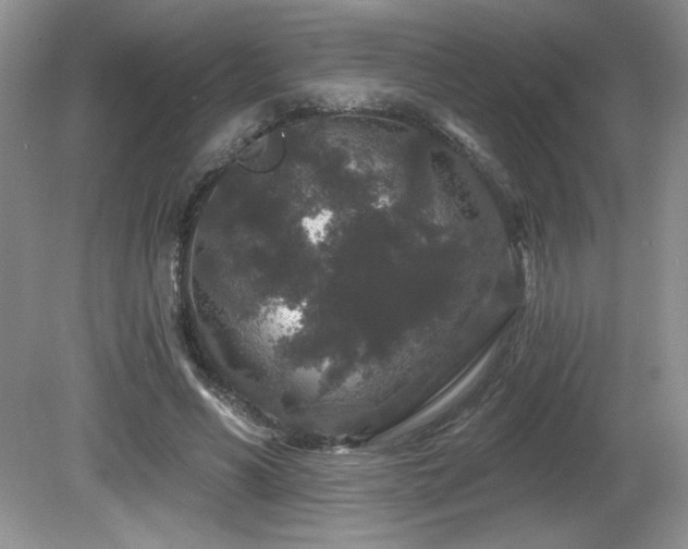 X0000081620590200701151433