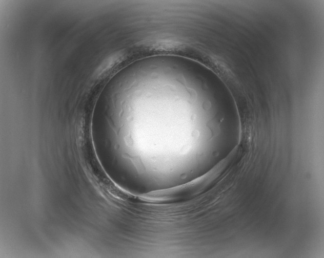 X0000081620591200701151433