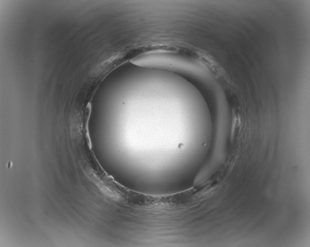 X0000081620593200701151433