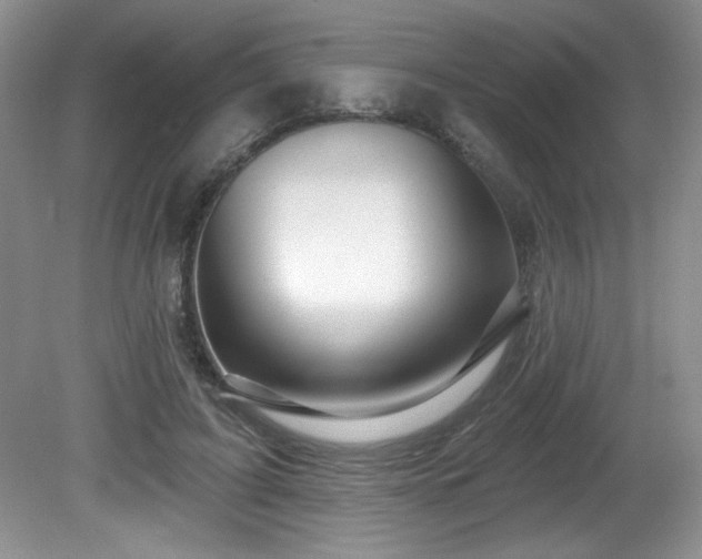 X0000081620595200701151433