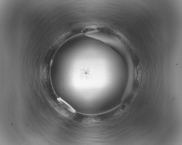 X0000081620597200701151433