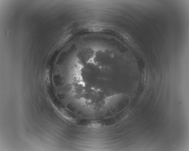 X0000081620598200701151433