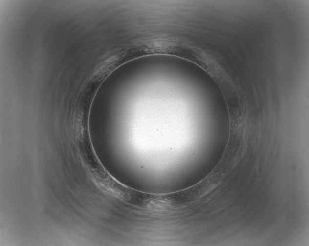 X0000081620599200701151433