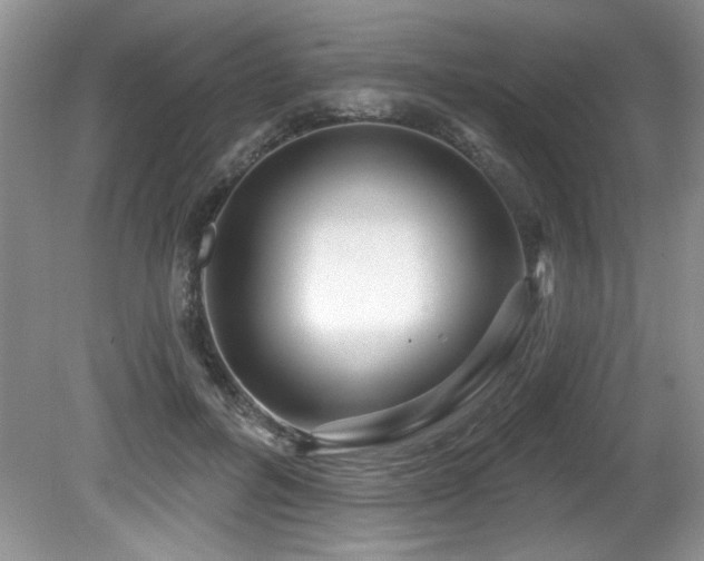 X0000081620600200701151433