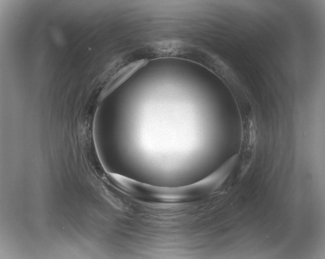 X0000081620601200701151433