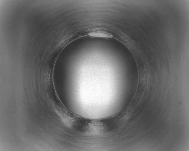 X0000081620603200701151433