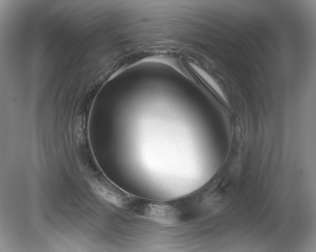 X0000081620605200701151433