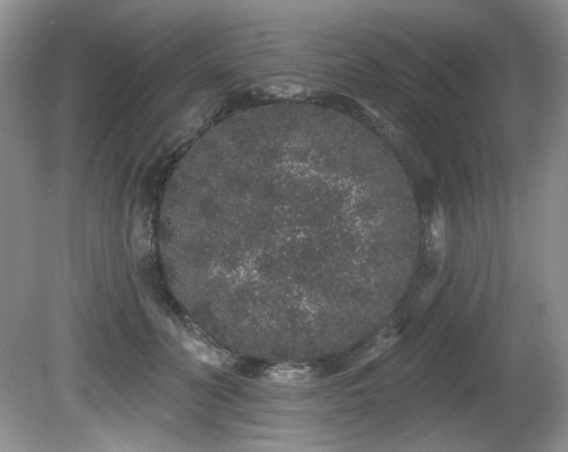 X0000081620606200701151433