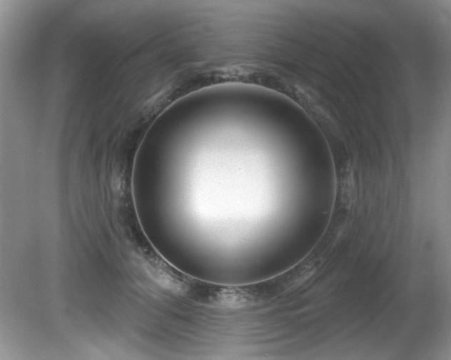 X0000081620608200701151433