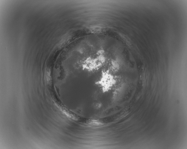 X0000081620610200701151433