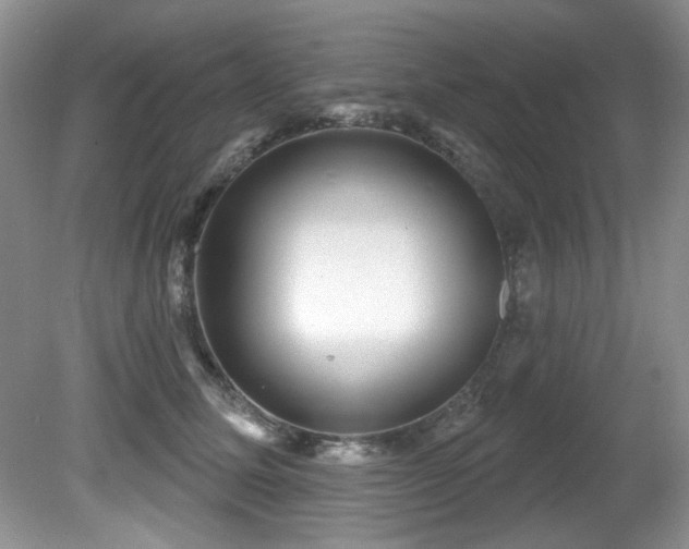 X0000081620611200701151433