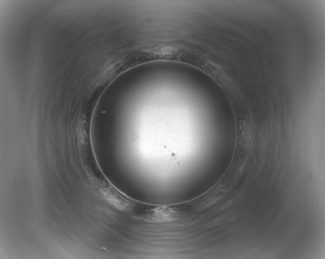 X0000081620612200701151433