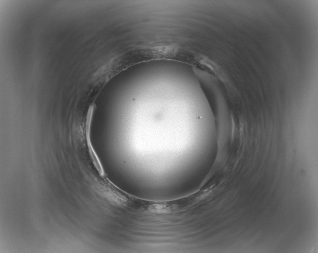 X0000081620613200701151433