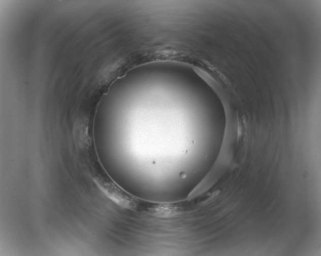 X0000081620615200701151433