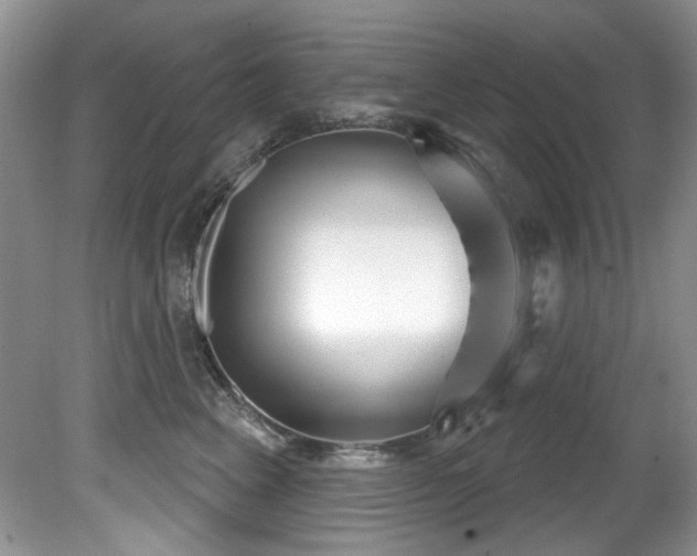 X0000081620617200701151433
