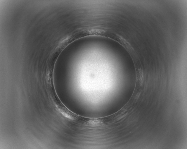 X0000081620619200701151433
