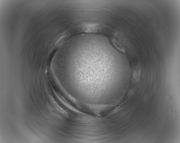 X0000081620620200701151433