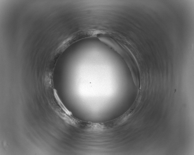 X0000081620621200701151433