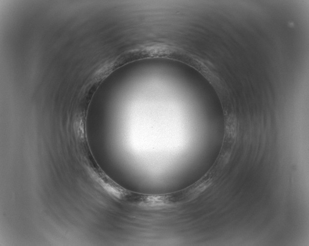 X0000081620622200701151433