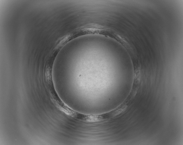 X0000081620623200701151433