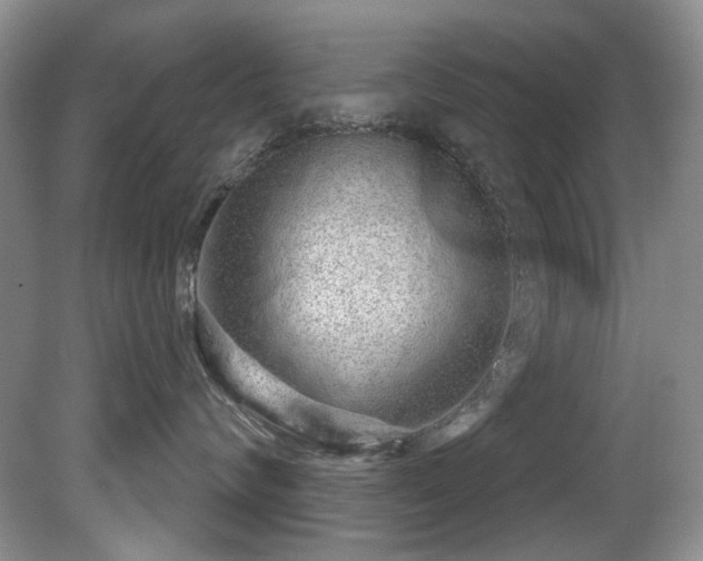 X0000081620624200701151433