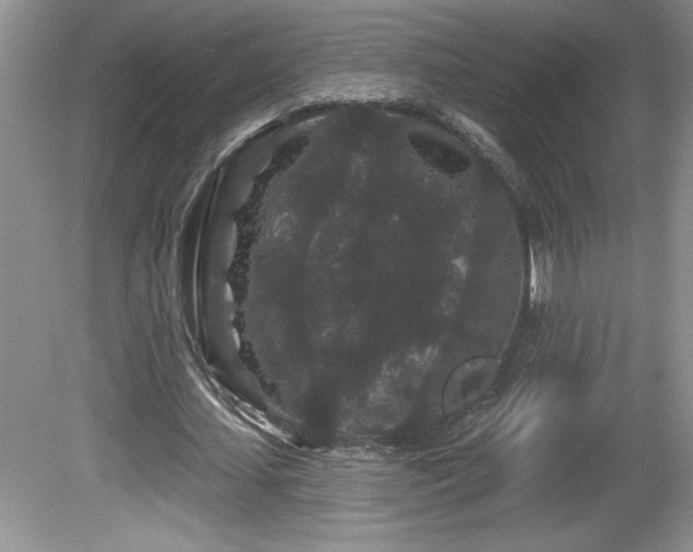 X0000081620627200701151432