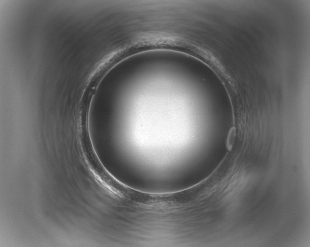 X0000081620629200701151432