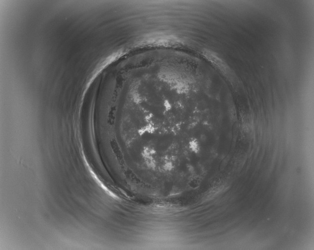 X0000081620630200701151432