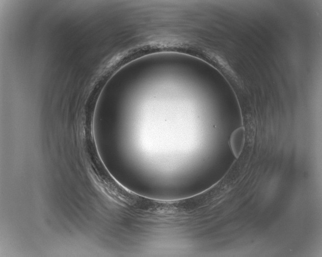 X0000081620631200701151432
