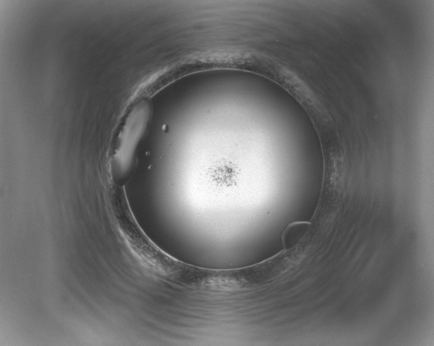 X0000081620636200701151432