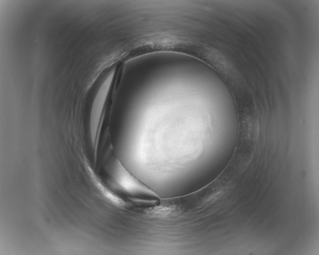 X0000081620638200701151432