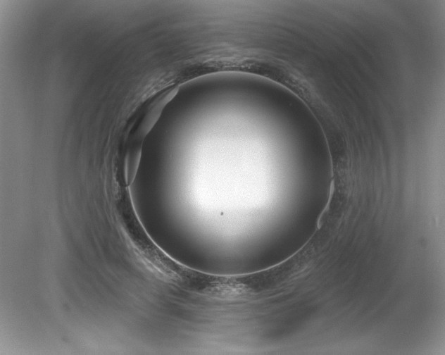 X0000081620642200701151432