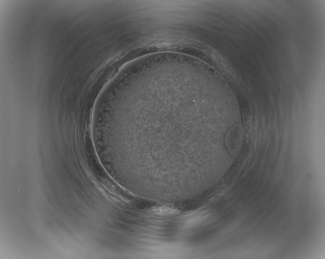 X0000081620644200701151432
