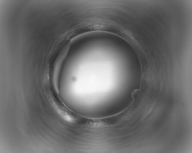 X0000081620645200701151432