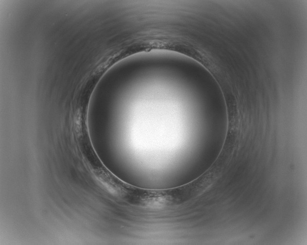 X0000081620646200701151432