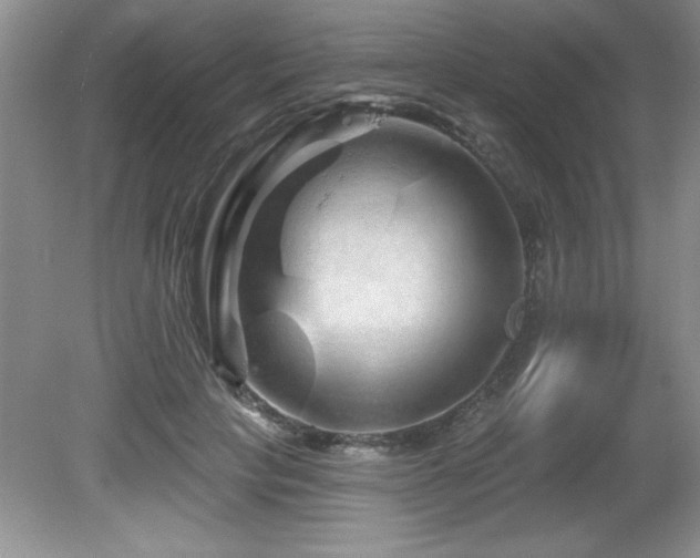 X0000081620649200701151432