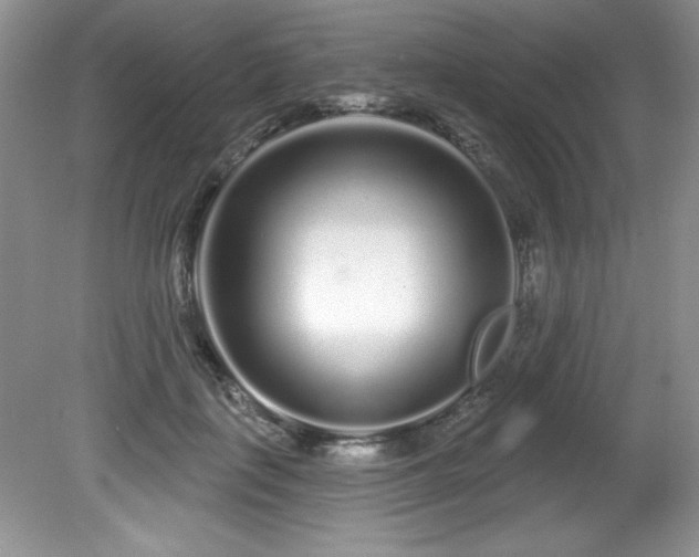 X0000081620651200701151433