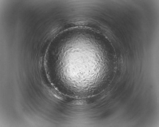 X0000081620652200701151433